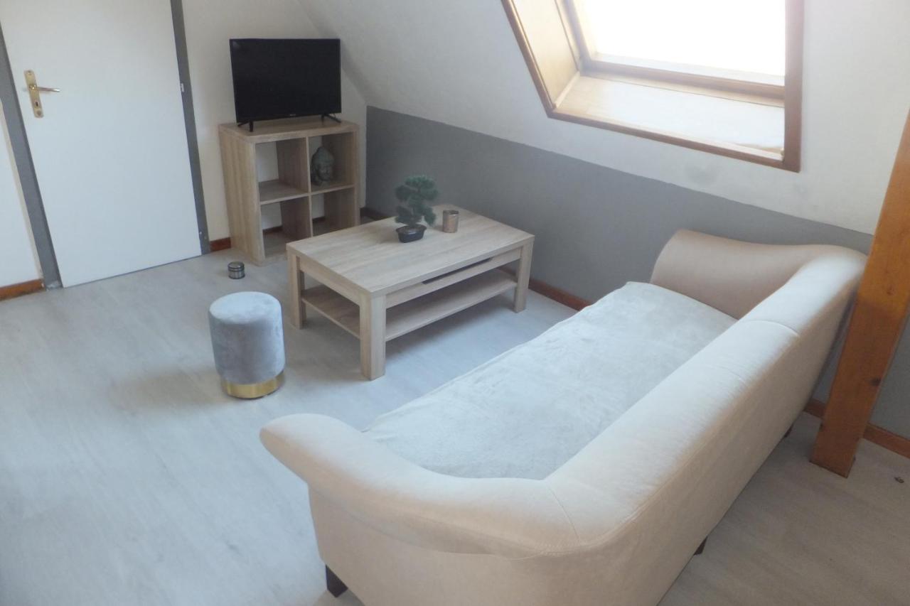 Superbe Appartement En Residence Betschdorf Bagian luar foto